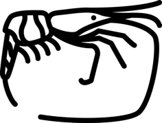 Big Shrimp Laser Cut Svg File, Free Vectors File